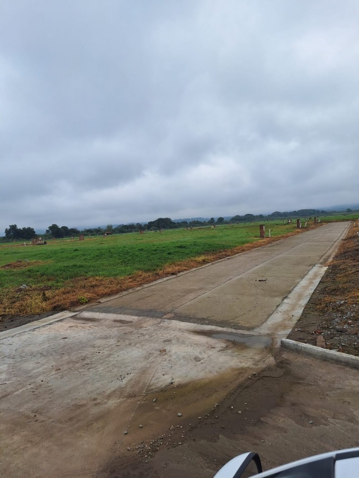 TERRENO ALTO VERDE 4 