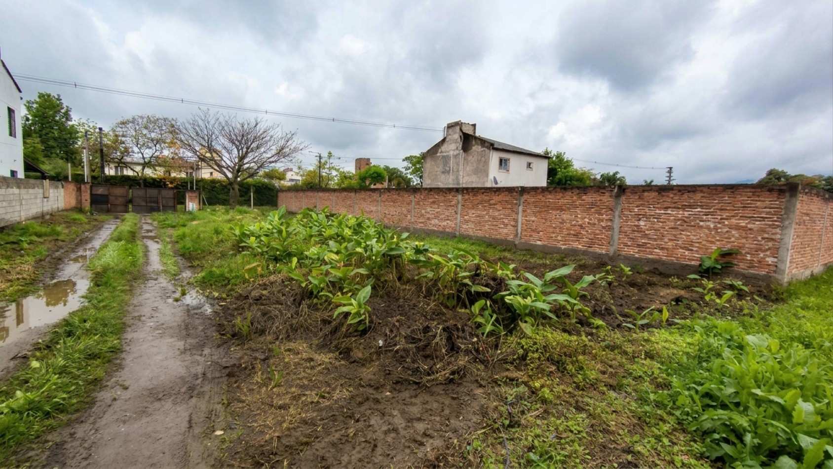 TERRENO 10X30M Calle La Paz 1765 - Yerba Buena