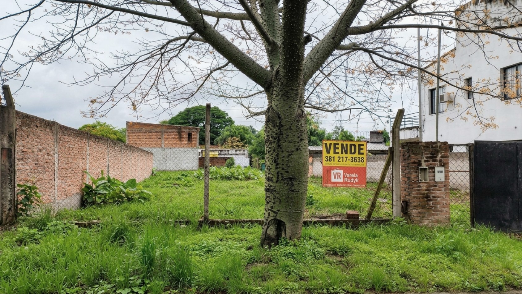 TERRENO 10X30M Calle La Paz 1765 - Yerba Buena