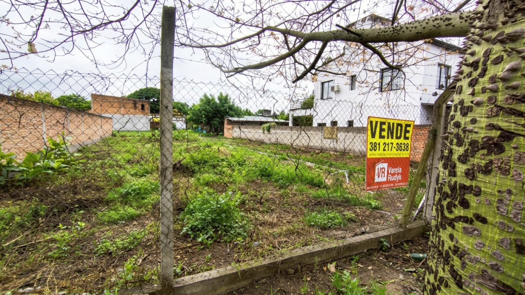 TERRENO 10X30M Calle La Paz 1765 - Yerba Buena
