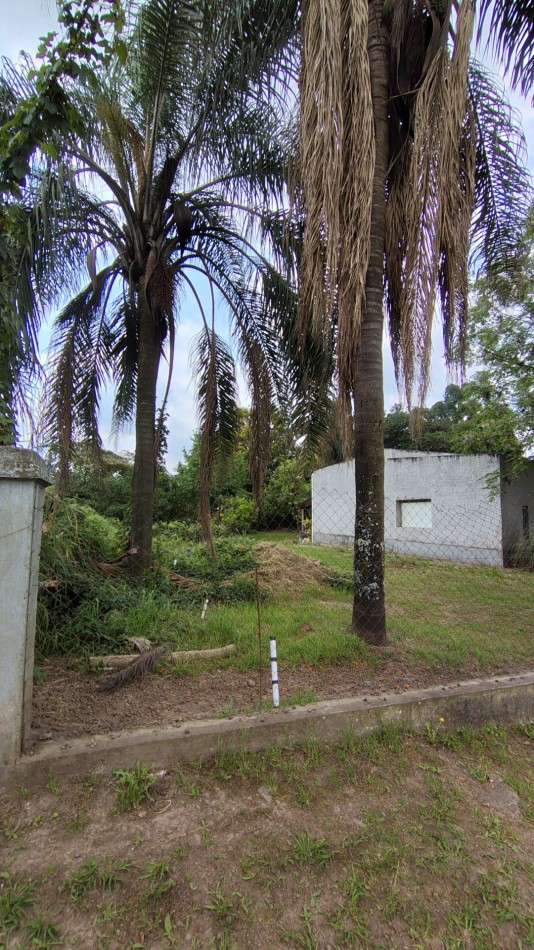 TERRENO 12X39m - Catamarca 1435 - Yerba Buena