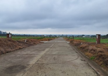 TERRENO ALTO VERDE 4 